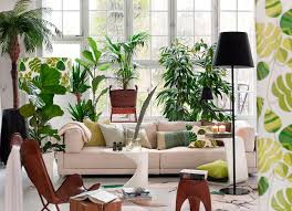 Hardy Houseplants For Every Room The Mail