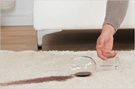 premier cleaning restoration carpet