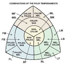 Body Type Clasical Temperament Theory Somatotype