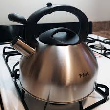 t fal stainless steel tea kettle review