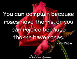 Rose Thorn Quotes. QuotesGram