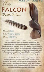 Falcon Totem Animal Totems Pinterest Totems Falcons