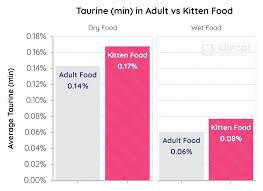 kitten food vs cat food what