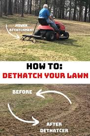 dad s best lawn dethatcher tips four