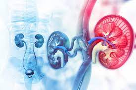 Urology and Renal Services - The Karen Hospital
