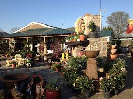 Haymore Garden Center