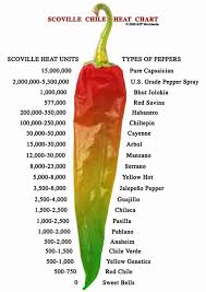The Scoville Scale For Measuring The Heat Of Hot Peppers
