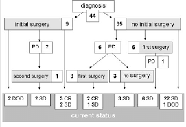 Observation Group Flow Chart Nf 1 Patients Received Neither