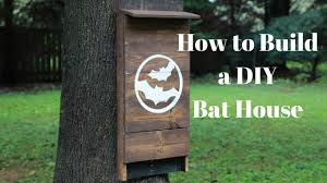 how to build diy bat house for your