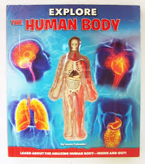 explore the human body anatomy book ebay