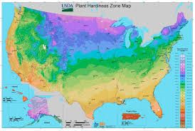 planting zones hardiness zones