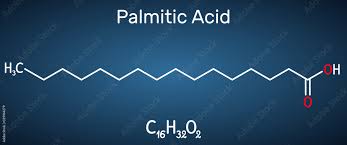 palmitic acid or hexadecanoic c16h32o2