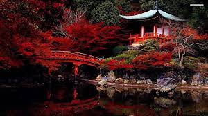 Japanese Garden Background Zen Cherry