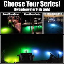 An In Depth Look At Fishing Light Colors Underwater Fish Light