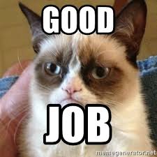 The best memes from instagram, facebook, vine, and twitter about great job meme. Good Job Grumpy Cat Meme Generator