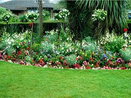 There is a lot more to the idea of a perennial meadow than simply the random arrangement of a group of compatible plants to perennials. Garden Border Flowers In Full Sun How To Plant Full Sun Edging