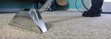steam carpet cleaning madison service