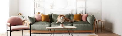 10 best pet friendly couches of 2023