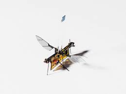 this insect sized flying robot is