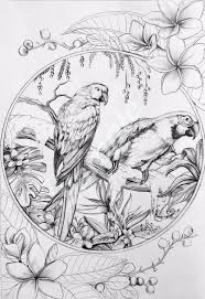 Check spelling or type a new query. Colour My Dreams Coloring Book Parrots Artist Monja Mitchell Gates Bird Drawings Bird Coloring Pages Animal Drawings