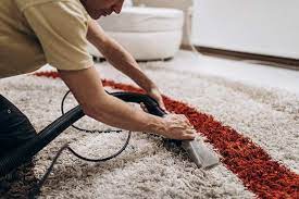 professional carpet cleaning hamilton