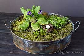 Make A Mini Moss Garden Centerpiece