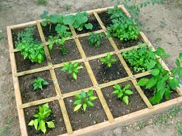 Square Foot Vegetable Garden