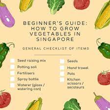 how to grow vegetables in singapore