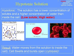 Tonicity and the animal cell hypothesis data data tables. Cell Membranes Osmosis And Diffusion This Powerpoint Is