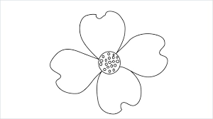 how to draw a dogwood step by step 6