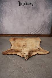 blonde black bear taxidermy rug for