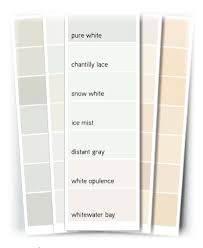 Color Should I Paint My Closet