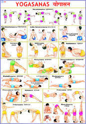 Yoga Chart Wholesale Price Mandi Rate For Yoga Chart