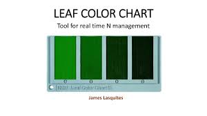 Leaf Color Chart Soil 4213 Precision Agriculture