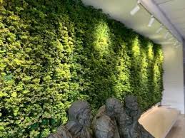 Natural Indoor Green Wall For