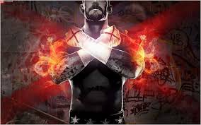 wwe superstar cm punk