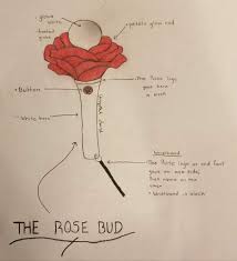 My Design For The Roses Lightstick 1 The Rose