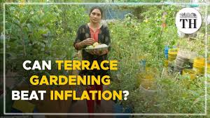 how are chennai terrace gardeners