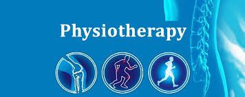 Image result for Bsc Physiotherapy