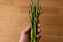 How do you know if chives have gone bad?