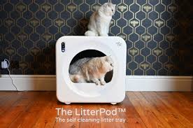 When a cat finds the litter box always clean to do its business he or she is a. Litterpod The Self Cleaning Litter Tray Indiegogo