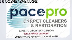 carpet cleaning bloomington normal il