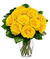 one dozen yellow roses at from you flowers