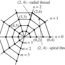 model for the mechanics of spider webs