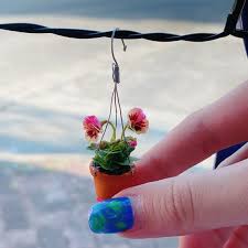 Buy Miniature In Pot Hanging