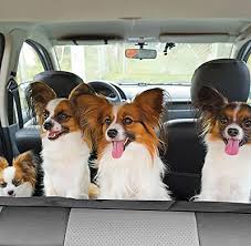 Rear Waterproof Car Seat Cover Dog Pet
