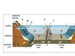ocean floor profile steemit