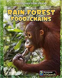 The amazon, the world's largest river basin, is home to the largest rainforest on earth. Rain Forest Food Chains Protecting Food Chains Moore Heidi Colich Abby 9781432938673 Amazon Com Books