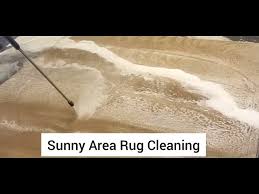 sunny carpet cleaning you