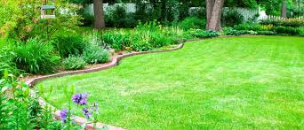 Types Of Landscaping Designs